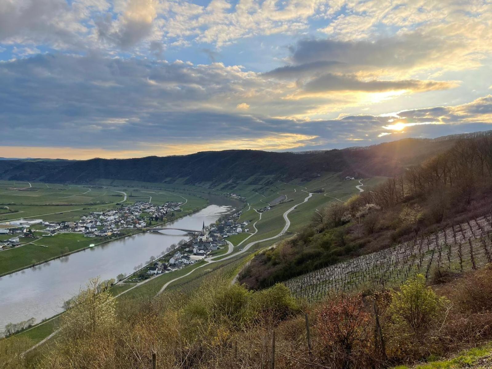 Die Ferienwohnungen Dominik Horath 部屋 写真